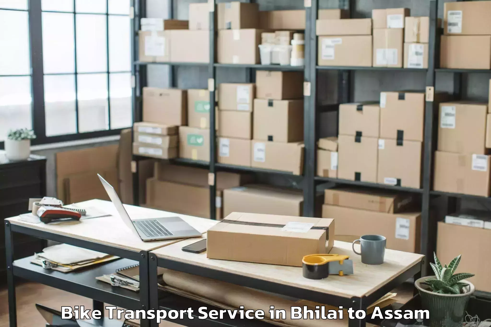 Book Your Bhilai to Laharighat Bike Transport Today